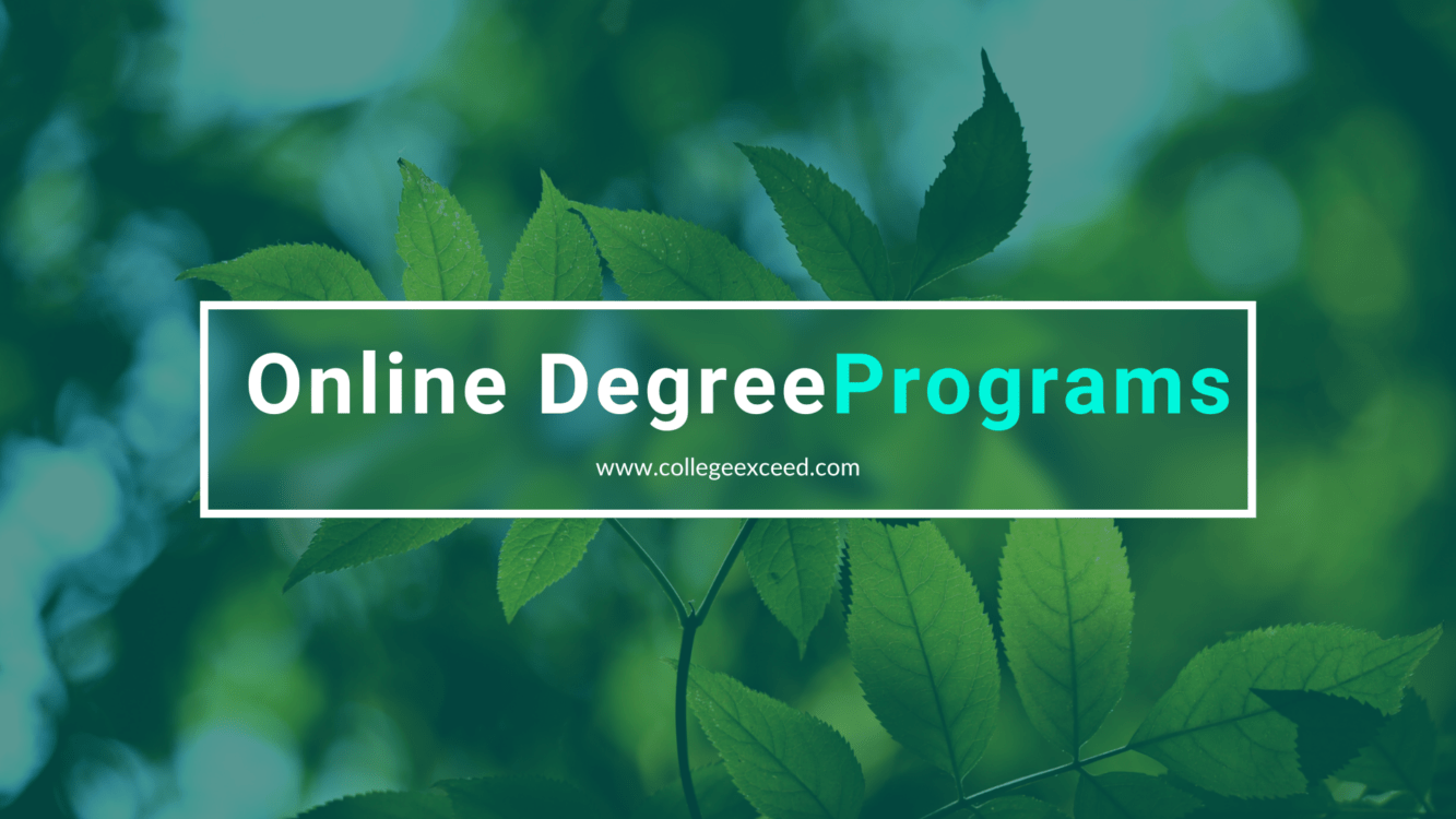 Online Degree Programs