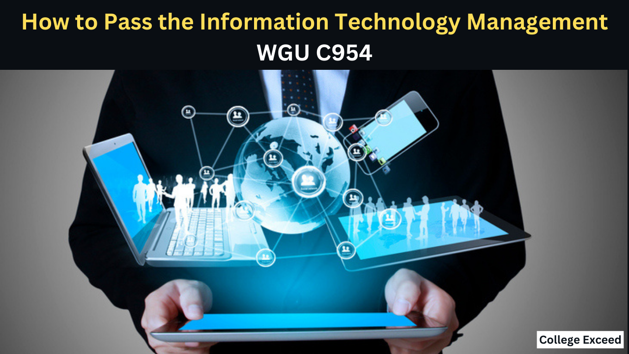 College Exceed - How To Pass The Information Technology Management Wgu C954 Course